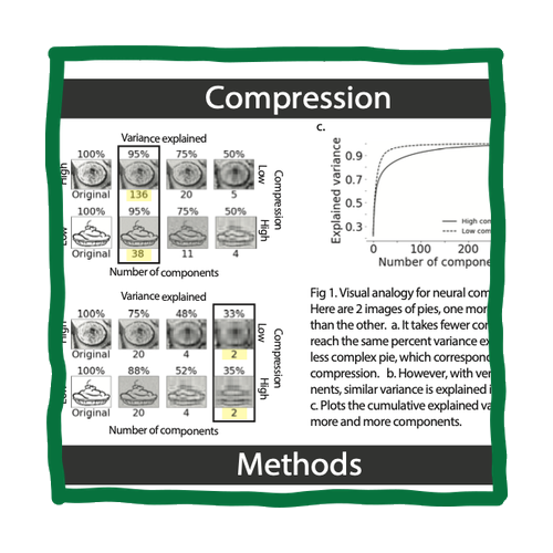 Publication thumbnail