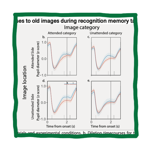 Publication thumbnail