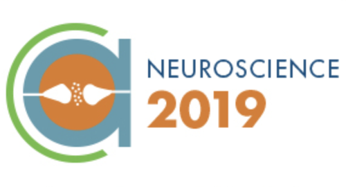 We came, we saw, we Sfn'd