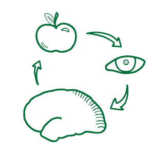 Publication thumbnail