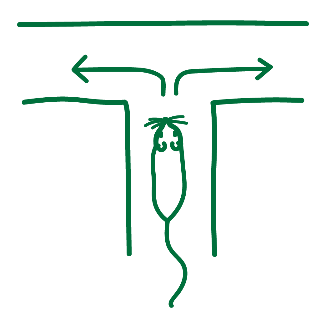 Publication thumbnail