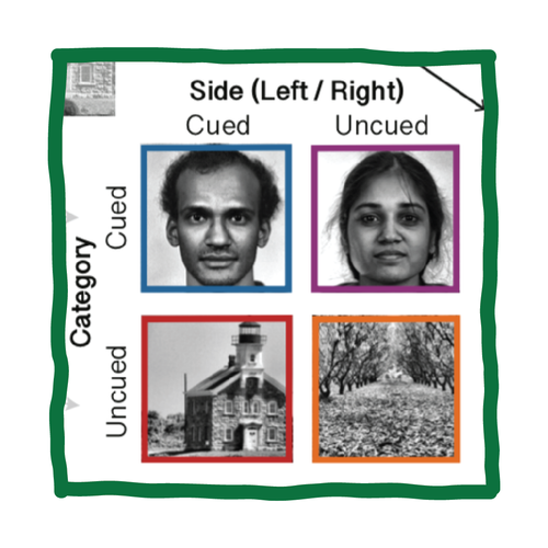 Publication thumbnail