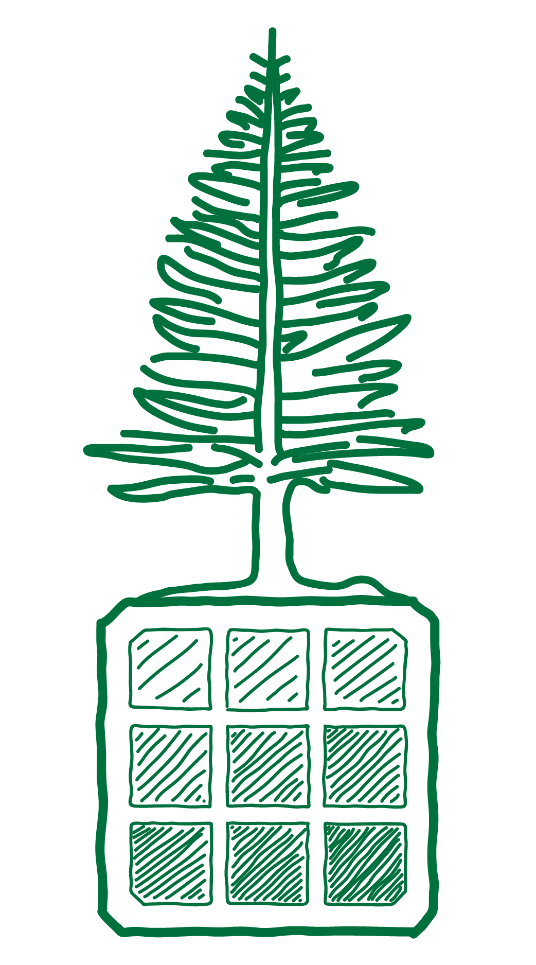 Tree illustration
